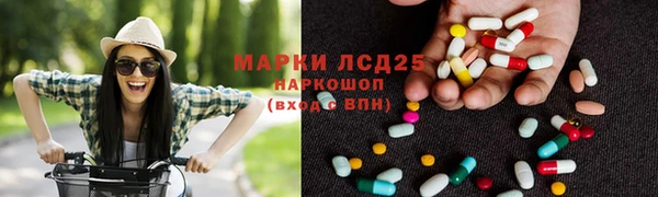 ECSTASY Покачи