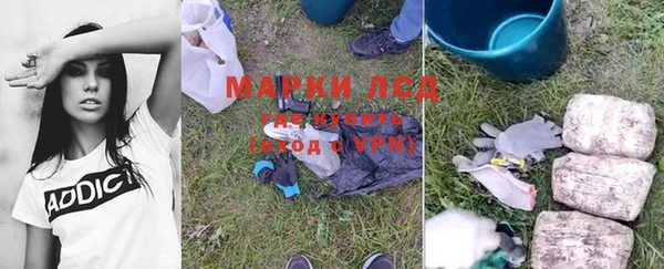 спайс Аркадак