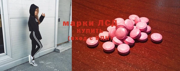 спайс Аркадак