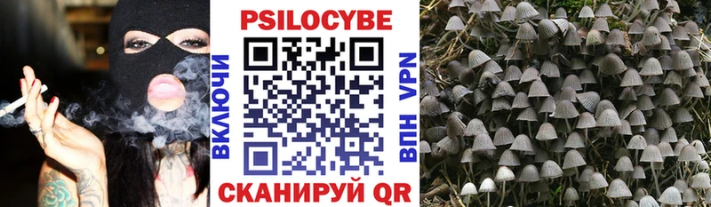 Псилоцибиновые грибы Psilocybine cubensis  Краснотурьинск 