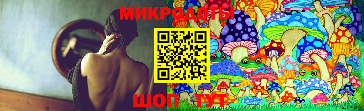Краснотурьинск  Галлюциногенные грибы Psilocybine cubensis  Вход с VPN 